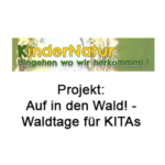 kindernatur auf in den wald! waldtage für kitas